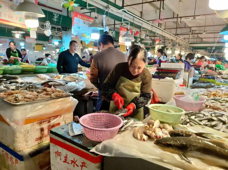海口商贸公司的活力与变革